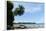 Drake Bay, Osa Peninsula, Costa Rica, Central America-Sergio-Framed Photographic Print