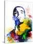 Drake Watercolor-Jack Hunter-Stretched Canvas