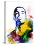 Drake Watercolor-Jack Hunter-Stretched Canvas