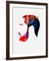 Drake Watercolor-Lana Feldman-Framed Art Print