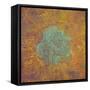 Drama Abstract-Roberto Gonzalez-Framed Stretched Canvas