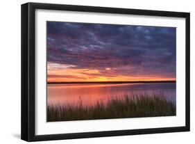 Drama at the Marsh-Michael Blanchette-Framed Photographic Print