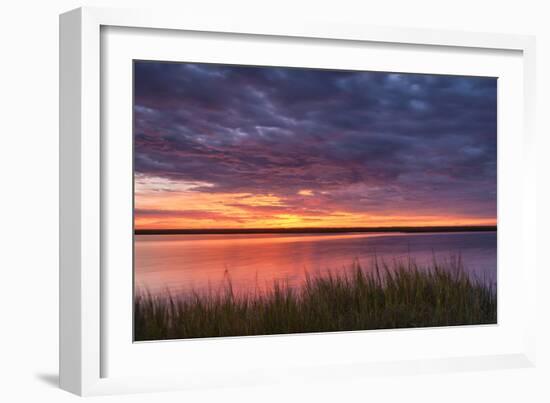 Drama at the Marsh-Michael Blanchette-Framed Photographic Print