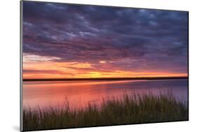 Drama at the Marsh-Michael Blanchette-Mounted Photographic Print