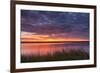 Drama at the Marsh-Michael Blanchette-Framed Photographic Print