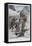 Drama on Mont Blanc, Alps, 1902-null-Framed Stretched Canvas