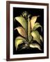 Dramatic Aloe II-Basilius Besler-Framed Art Print