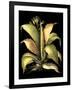 Dramatic Aloe II-Basilius Besler-Framed Art Print