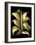 Dramatic Aloe II-Basilius Besler-Framed Art Print