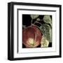 Dramatic Apple-Vision Studio-Framed Art Print