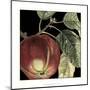 Dramatic Apple-Vision Studio-Mounted Art Print