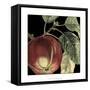 Dramatic Apple-Vision Studio-Framed Stretched Canvas