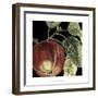 Dramatic Apple-Vision Studio-Framed Art Print