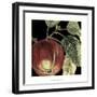 Dramatic Apple-Vision Studio-Framed Art Print