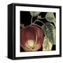 Dramatic Apple-Vision Studio-Framed Stretched Canvas