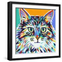 Dramatic Cats I-Carolee Vitaletti-Framed Art Print