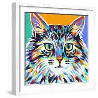 Dramatic Cats I-Carolee Vitaletti-Framed Art Print