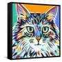 Dramatic Cats I-Carolee Vitaletti-Framed Stretched Canvas