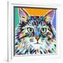 Dramatic Cats I-Carolee Vitaletti-Framed Art Print