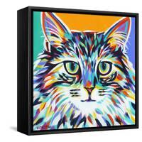 Dramatic Cats I-Carolee Vitaletti-Framed Stretched Canvas