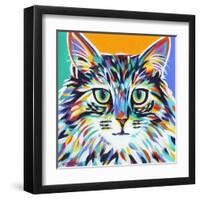 Dramatic Cats I-Carolee Vitaletti-Framed Art Print