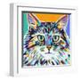 Dramatic Cats I-Carolee Vitaletti-Framed Art Print