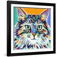 Dramatic Cats I-Carolee Vitaletti-Framed Art Print