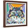 Dramatic Cats I-Carolee Vitaletti-Framed Art Print