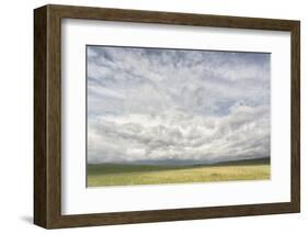 Dramatic Clouds Above Wheat Field, Palouse Region of Eastern Washington-Adam Jones-Framed Photographic Print