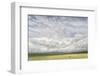 Dramatic Clouds Above Wheat Field, Palouse Region of Eastern Washington-Adam Jones-Framed Photographic Print