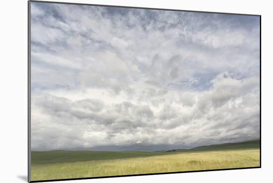 Dramatic Clouds Above Wheat Field, Palouse Region of Eastern Washington-Adam Jones-Mounted Photographic Print