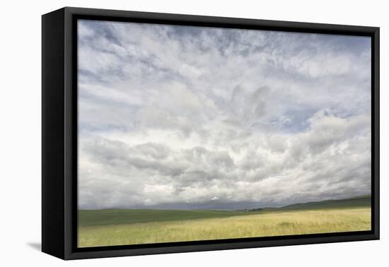 Dramatic Clouds Above Wheat Field, Palouse Region of Eastern Washington-Adam Jones-Framed Stretched Canvas