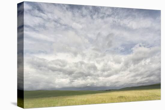 Dramatic Clouds Above Wheat Field, Palouse Region of Eastern Washington-Adam Jones-Stretched Canvas