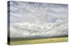 Dramatic Clouds Above Wheat Field, Palouse Region of Eastern Washington-Adam Jones-Stretched Canvas