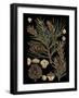 Dramatic Conifers II-Vision Studio-Framed Art Print