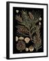 Dramatic Conifers II-Vision Studio-Framed Art Print