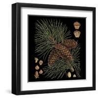 Dramatic Conifers V-Vision Studio-Framed Art Print