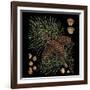 Dramatic Conifers V-Vision Studio-Framed Art Print