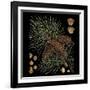 Dramatic Conifers V-Vision Studio-Framed Art Print