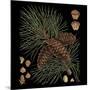 Dramatic Conifers V-Vision Studio-Mounted Art Print