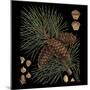 Dramatic Conifers V-Vision Studio-Mounted Art Print