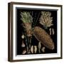 Dramatic Conifers VI-Vision Studio-Framed Art Print