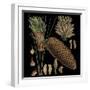 Dramatic Conifers VI-Vision Studio-Framed Art Print