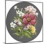 Dramatic Floral Bouquet I-Megan Meagher-Mounted Art Print