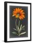 Dramatic Floral I-Curtis-Framed Art Print