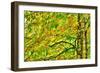 Dramatic Hdr Of Yellow Birch During Fall-Mirage3-Framed Art Print