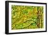 Dramatic Hdr Of Yellow Birch During Fall-Mirage3-Framed Art Print