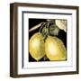 Dramatic Lemon-Vision Studio-Framed Art Print