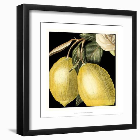 Dramatic Lemon-Vision Studio-Framed Art Print