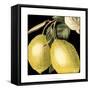 Dramatic Lemon-Vision Studio-Framed Stretched Canvas